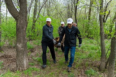 Сергей Грачев: «Сделать города и поселки региона чище – общая задача»